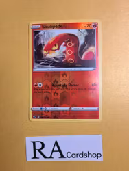 Sizzlipede Reverse Holo Common 038/202 Sword & Shield Pokemon