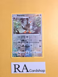 Staravia Reverse Holo Uncommon 146/189 Darkness Ablaze Pokemon