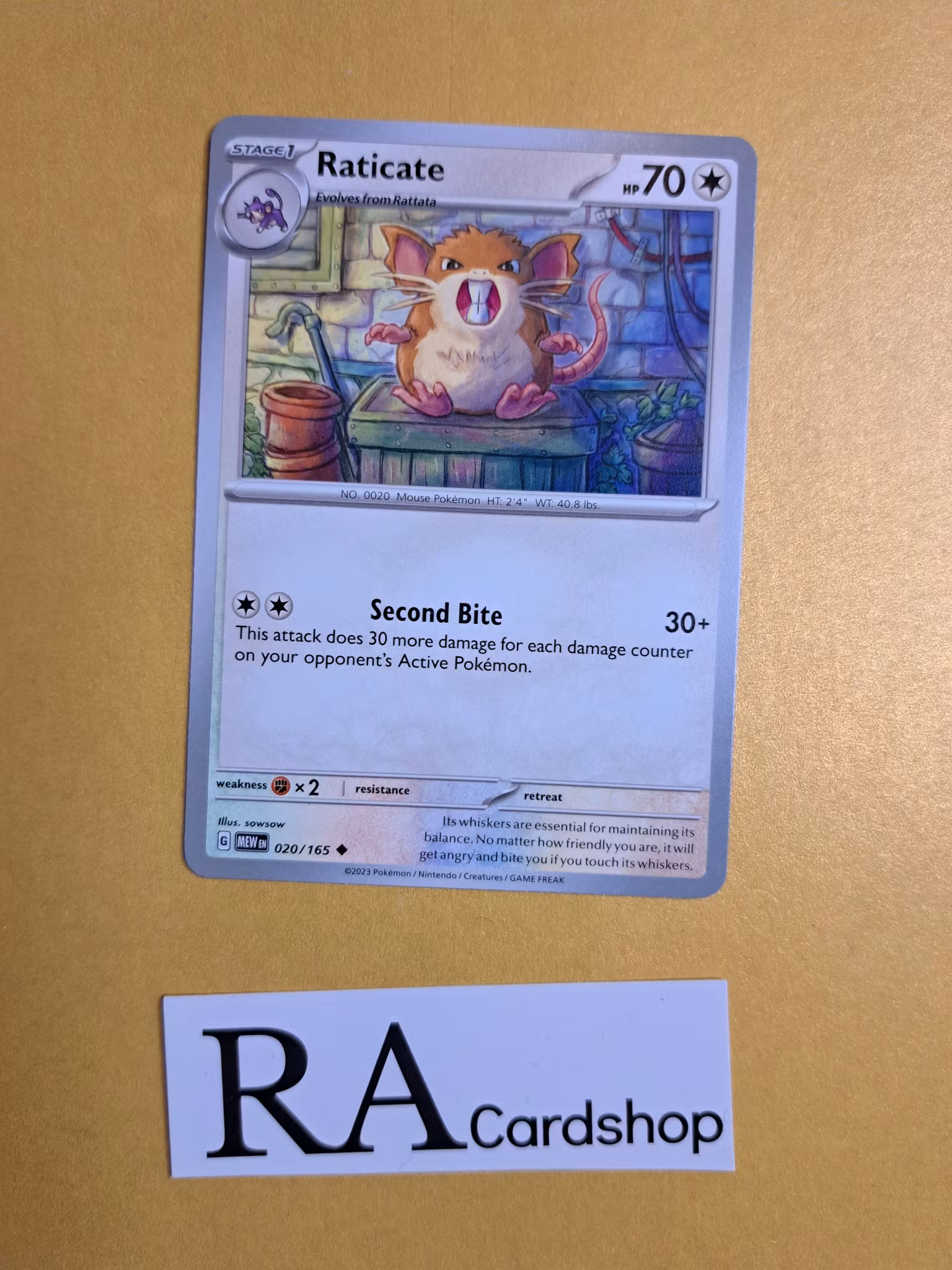 Raticate Uncommon 020/165 Pokemon 151