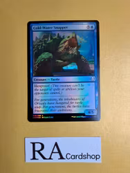 Cold-Water Snapper Common Foil 048/269 Dominaria (DOM) Magic the Gathering