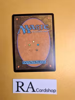 Ancestral Vengeance Common Foil 061/185 Fate Reforged Magic the Gathering