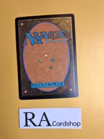 Suns Bounty Common 18/155 Coldsnap (CSP) Magic the Gathering