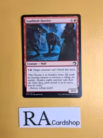 Lambholt Harrier Common 145/277 Innistrad Midnight Hunt (MID) Magic the Gathering
