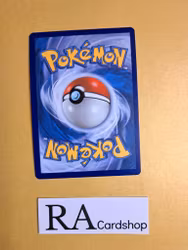 Hippopotas Reverse Holo Common 079/189 Astral Radiance Pokemon