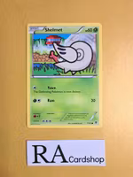 Shelmet Common 7/101 Plasma Blast Pokemon