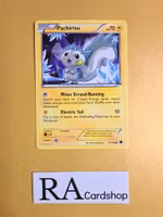 Pachirisu Common 37/116 Plasma Freeze Pokemon