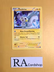 Pachirisu Common 37/116 Plasma Freeze Pokemon