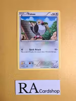Pidove Common 84/114 Black & White Pokemon