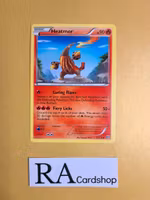 Heatmor Uncommon 23/135 Plasma Storm Pokemon