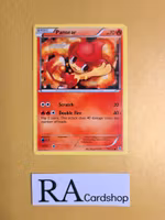 Pansear Common 19/135 Plasma Storm Pokemon