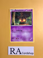 Pumpkaboo Common 56/146 XY Base Set Pokemon
