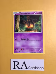 Pumpkaboo Common 56/146 XY Base Set Pokemon