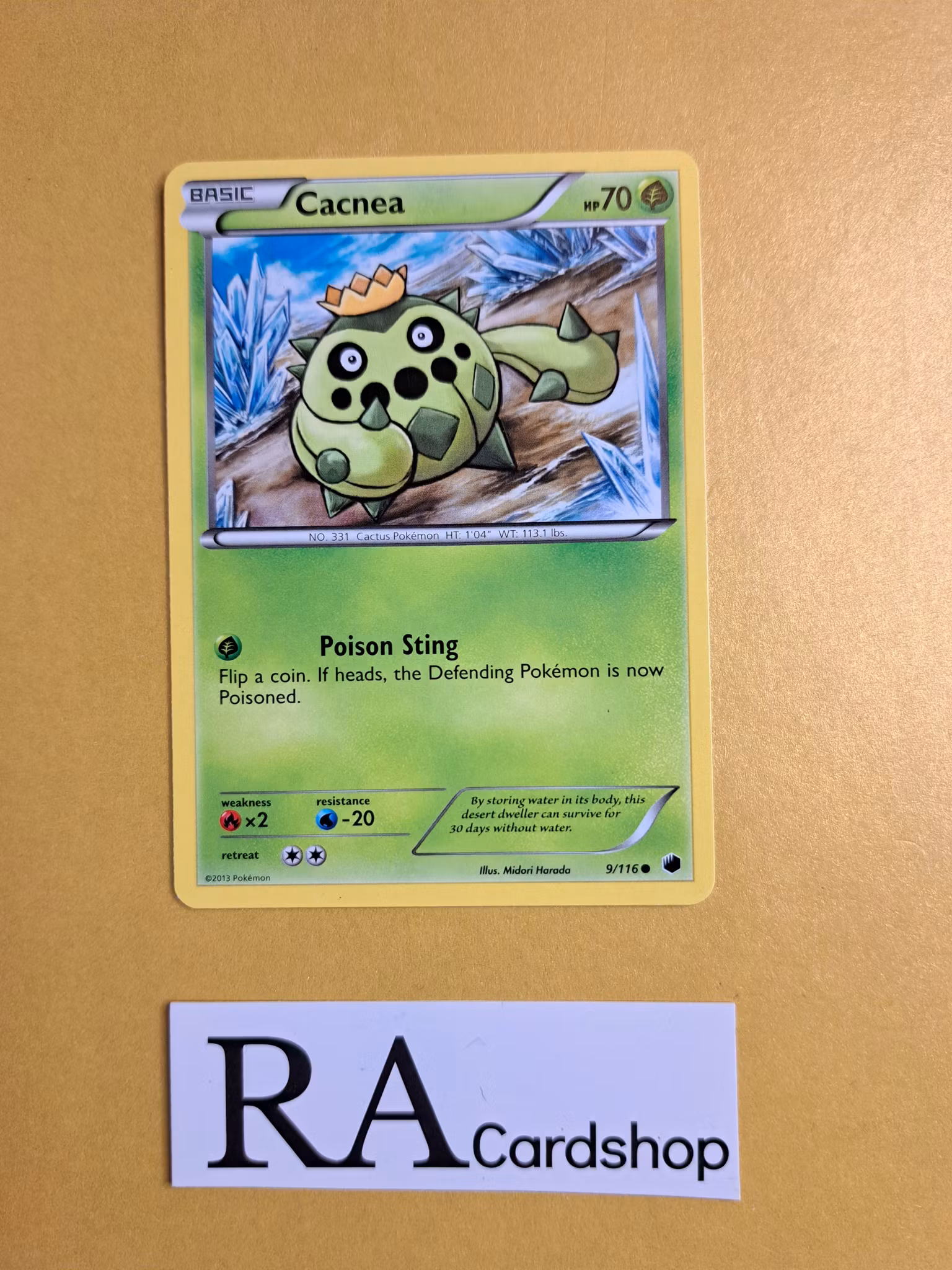 Cacnea Common 9/116 Plasma Freeze Pokemon