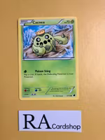 Cacnea Common 9/116 Plasma Freeze Pokemon