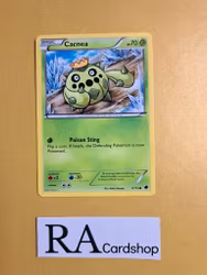 Cacnea Common 9/116 Plasma Freeze Pokemon
