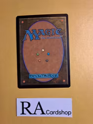 Ornamental Courage Common 164/264 Kaladesh (KLD) Magic the Gathering