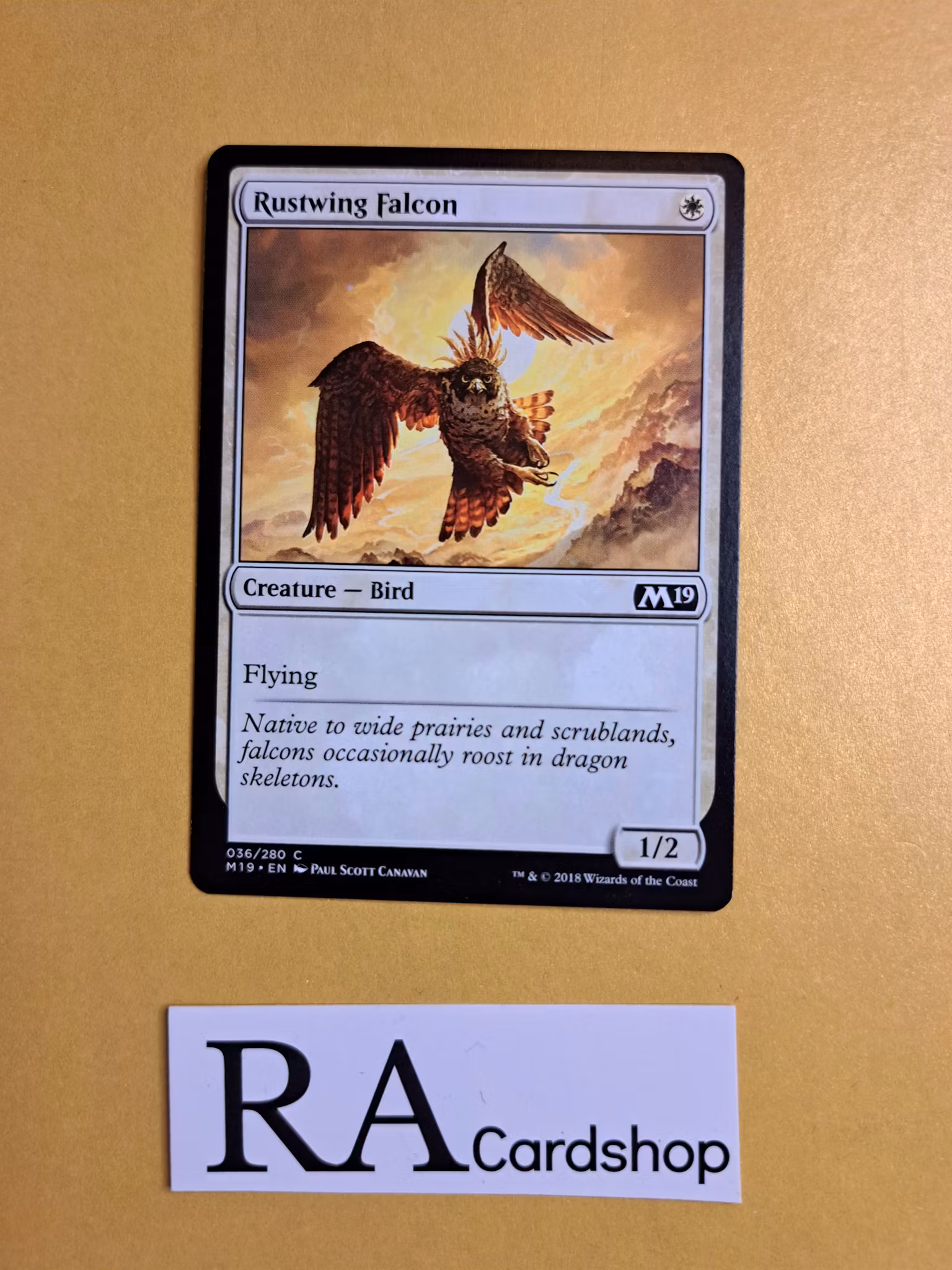 Rustwing Falcon Common 036/280 Core 2019 (M19) Magic the Gathering