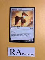 Rustwing Falcon Common 036/280 Core 2019 (M19) Magic the Gathering