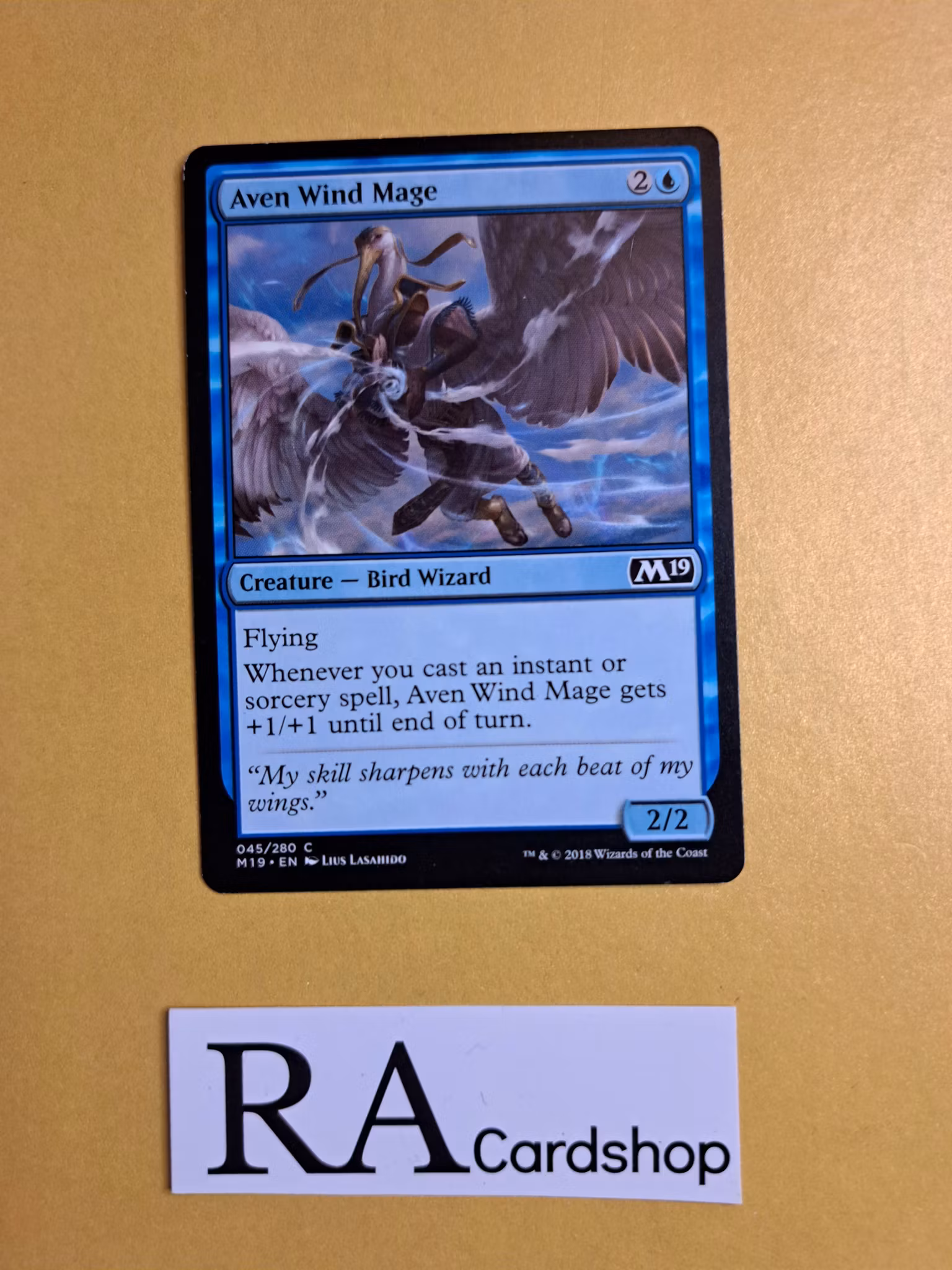Aven Wind Mage Common 045/280 Core 2019 (M19) Magic the Gathering