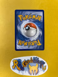 Nacli Reverse Holo Common 101/182 Paradox Rift Pokemon