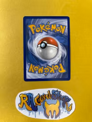 Pansear Reverse Holo Common 020/182 Paradox Rift Pokemon