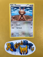 Sentret Common 81/106 XY Flashfire Pokemon