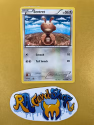 Sentret Common 81/106 XY Flashfire Pokemon