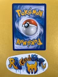 Sentret Common 81/106 XY Flashfire Pokemon