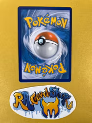 Buizel Common 28/106 XY Flashfire Pokemon