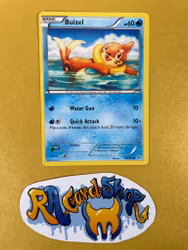 Buizel Common 28/106 XY Flashfire Pokemon