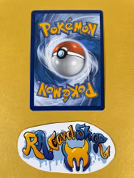 Nacli Reverse Holo Common 102/182 Paradox Rift Pokemon