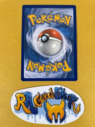 Oricorio Common 067/182 Paradox Rift Pokemon