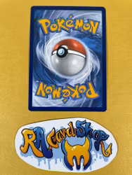 Toxel Common 069/182 Paradox Rift Pokemon