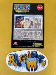 One Piece 43 Epic Journey Trading Cards Panini One Piece