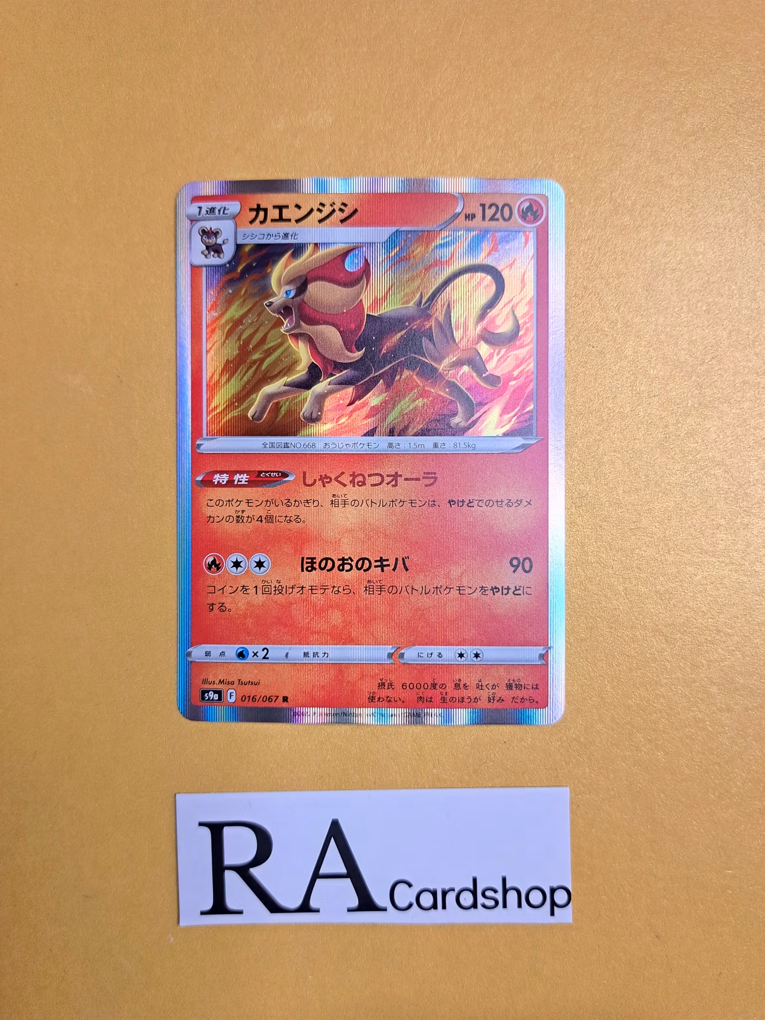 Pyroar Rare Holo 016/067 Battle Legion s9a Pokemon