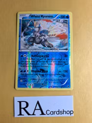 White Kyurem Reverse Holo Rare 21/124 Fates Collide Pokemon