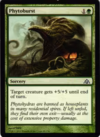 Phytoburst Common 46/156 Dragons Maze (DGM) Magic the Gathering