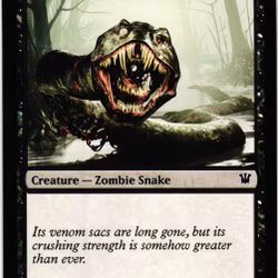 Rotting Fensnake Common 113/264 Innistrad Magic the Gathering