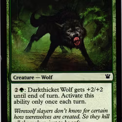 Darkthicket Wolf Common 175/264 Innistrad Magic the Gathering