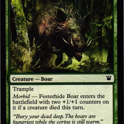 Festerhide Boar Common 179/264 Innistrad Magic the Gathering