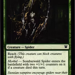 Somberwald Spider Common 202/264 Innistrad Magic the Gathering