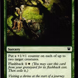 Travel Preparations Common 206/264 Innistrad Magic the Gathering