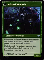 Infestation Expert / Infested Werewolf Uncommon 206/277 Innistrad: Crimson Vow (VOW) Magic the Gathering