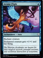 Arcane Flight Common 043/269 Dominaria (DOM) Magic the Gathering