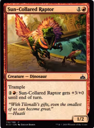 Sun-Collared Raptor Common 118/196 Rivals of Ixalan (RIX) Magic the Gathering