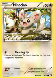 Minccino Common 86/124 Fates Collide Pokemon
