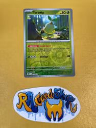 Turtwig Reverse Holo Common 010/162 Temporal Forces Pokemon
