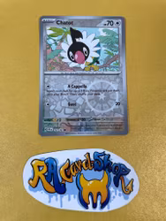 Chatot Reverse Holo Common 132/162 Temporal Forces Pokemon