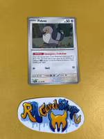Pidove Common 133/162  Temporal Forces Pokemon