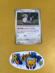 Pidove Common 133/162  Temporal Forces Pokemon